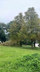 Woodlands Road (D25), Semi-Detached #473060661